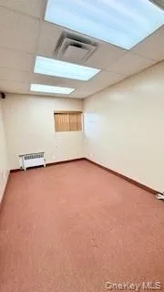 Bonus room featuring carpet and radiator heating unit Bonus room featuring carpet and radiator heating unit