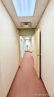 Hallway with a drop ceiling and light carpet Hallway with a drop ceiling and light carpet