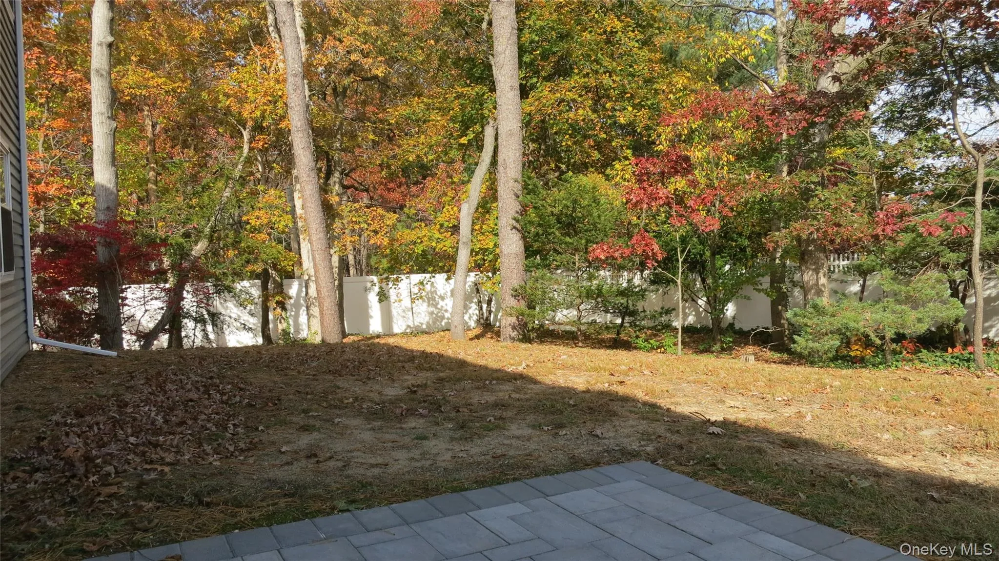 View of yard featuring a patio area View of yard featuring a patio area