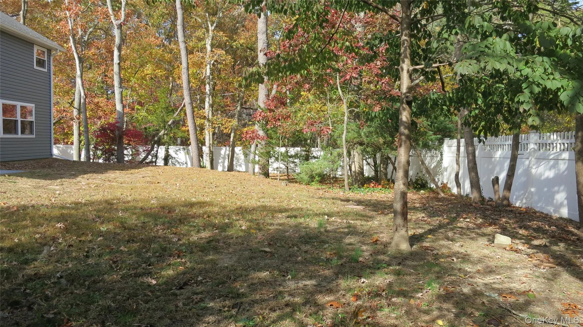 View of yard View of yard