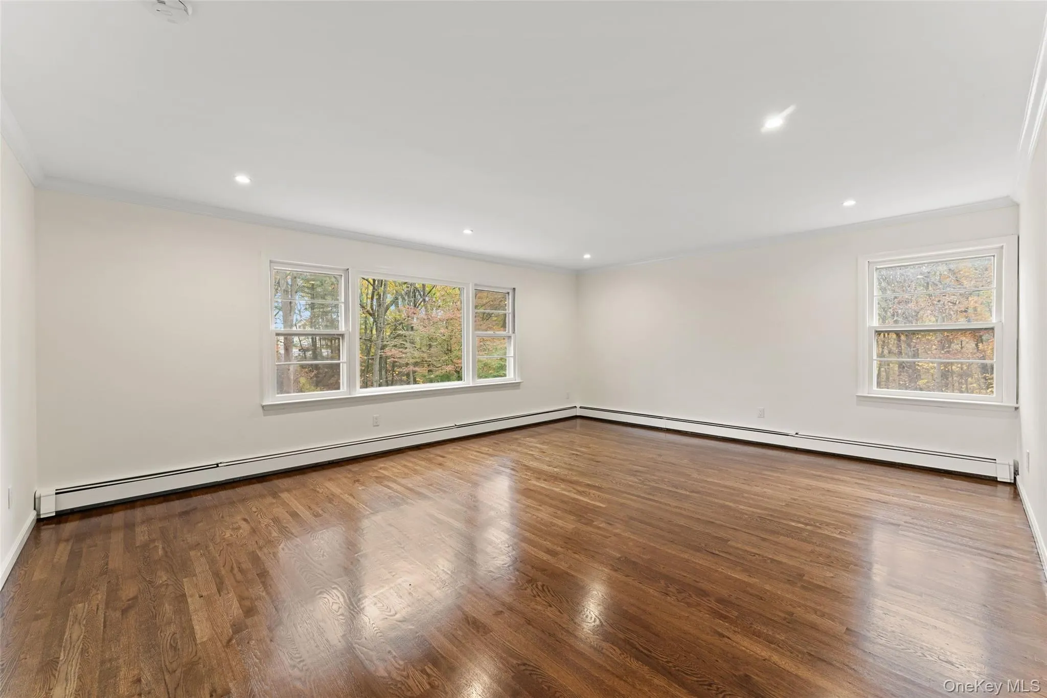54 De Liso: Unfurnished room with crown molding, plenty of natural light, a baseboard radiator, wood finished floors, and recessed lighting 54 De Liso: Unfurnished room with crown molding, plenty of natural light, a baseboard radiator, wood finished floors, and recessed lighting
