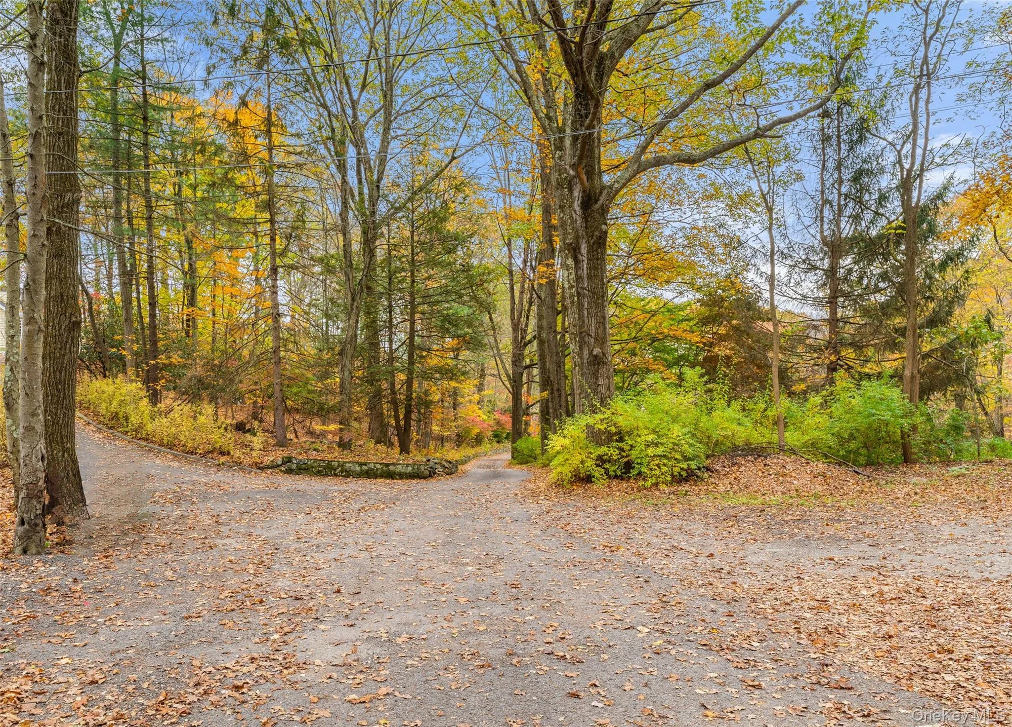 View of road featuring a forest view View of road featuring a forest view
