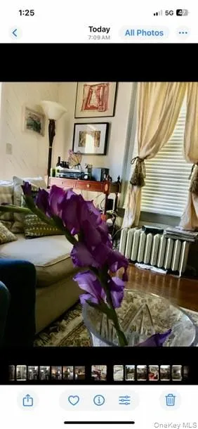 3315 #3 Route 343, Amenia, NY, 3 Bedrooms Bedrooms, 6 Rooms Rooms,1 BathroomBathrooms,Residential Lease,Idx,Route 343,0,936548 3315 #3 Route 343, Amenia, NY, 3 Bedrooms Bedrooms, 6 Rooms Rooms,1 BathroomBathrooms,Residential Lease,Idx,Route 343,0,936548