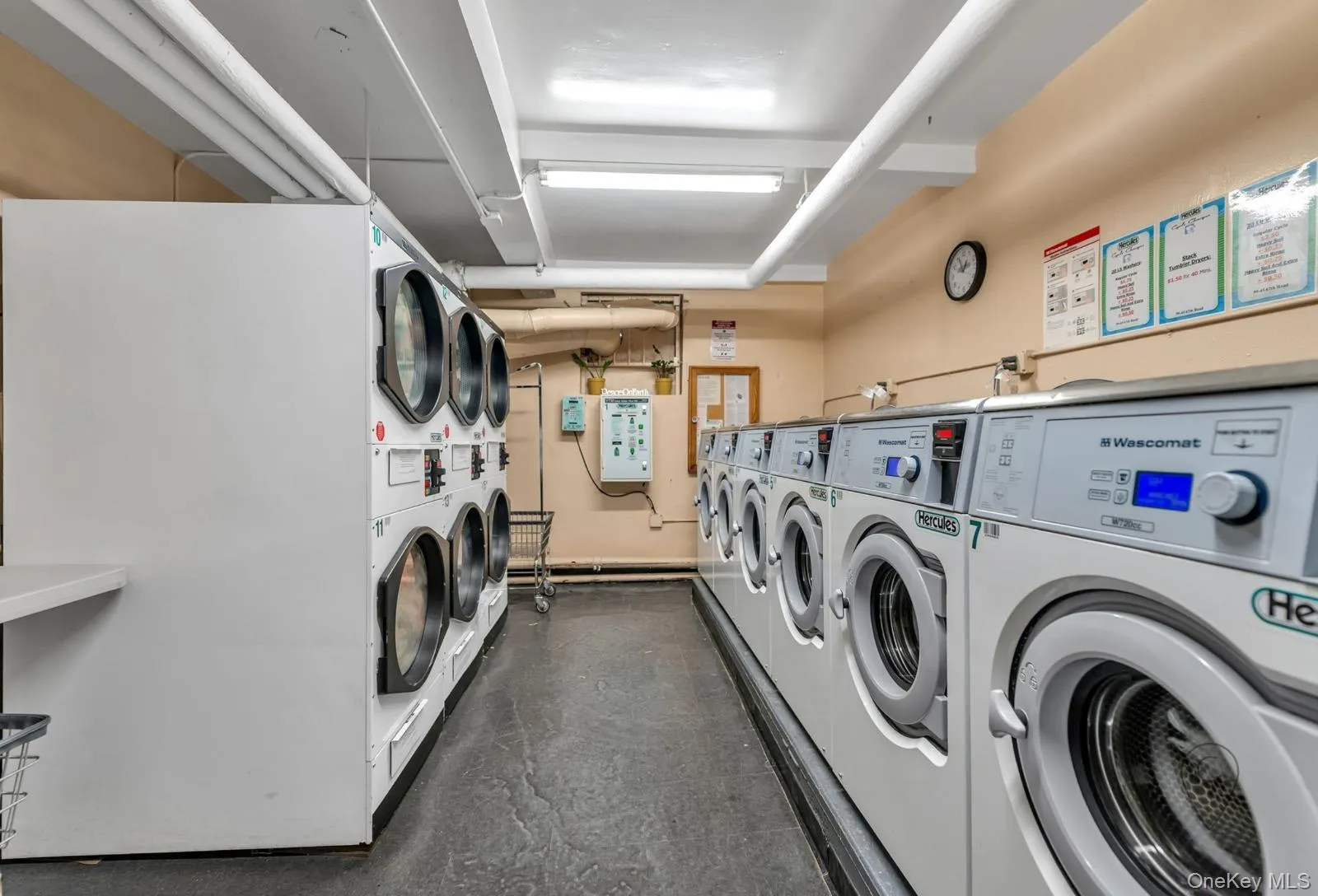 99-45 67th Road, New York, NY, 1 Bedroom Bedrooms, 4 Rooms Rooms,1 BathroomBathrooms,Residential Lease,Idx,67th,0,936561 99-45 67th Road, New York, NY, 1 Bedroom Bedrooms, 4 Rooms Rooms,1 BathroomBathrooms,Residential Lease,Idx,67th,0,936561