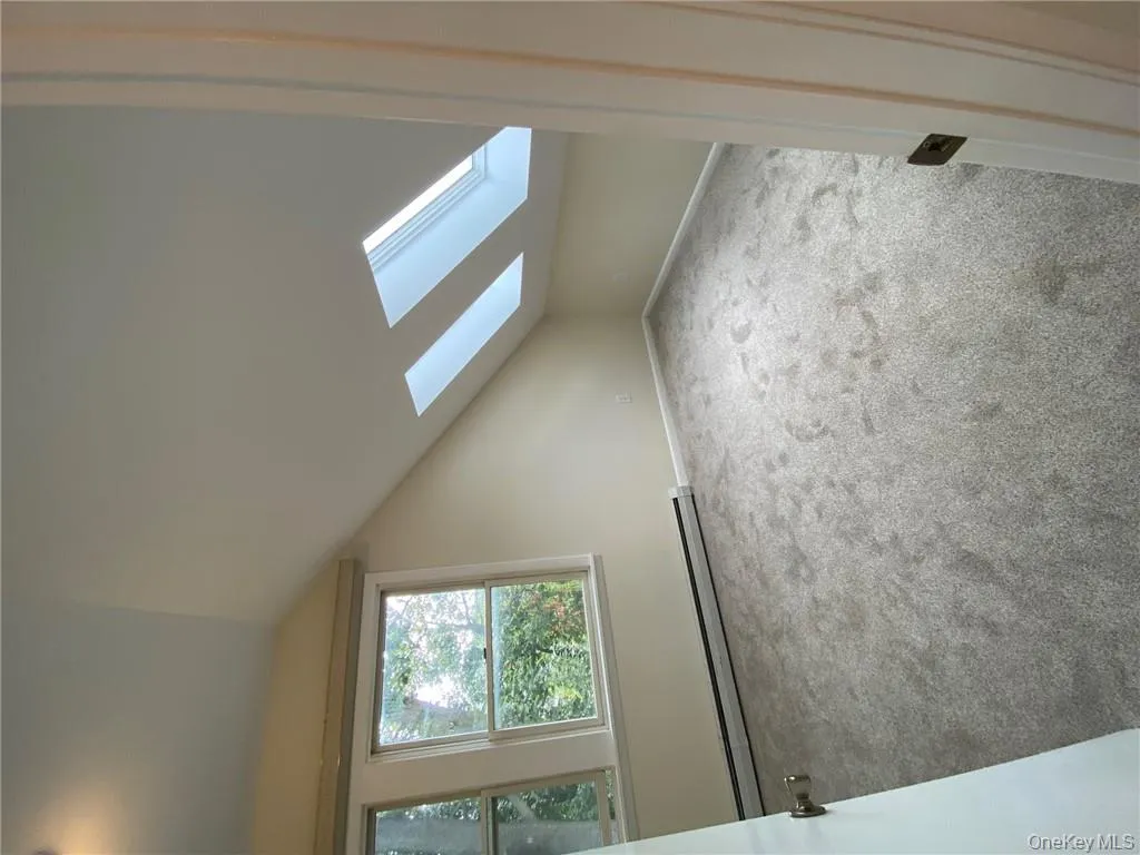 Additional living space featuring a baseboard radiator, carpet, and lofted ceiling with skylight Additional living space featuring a baseboard radiator, carpet, and lofted ceiling with skylight