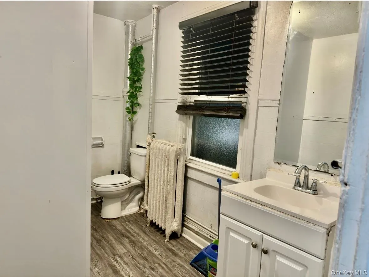 Bathroom featuring vanity, radiator heating unit, and dark wood finished floors Bathroom featuring vanity, radiator heating unit, and dark wood finished floors