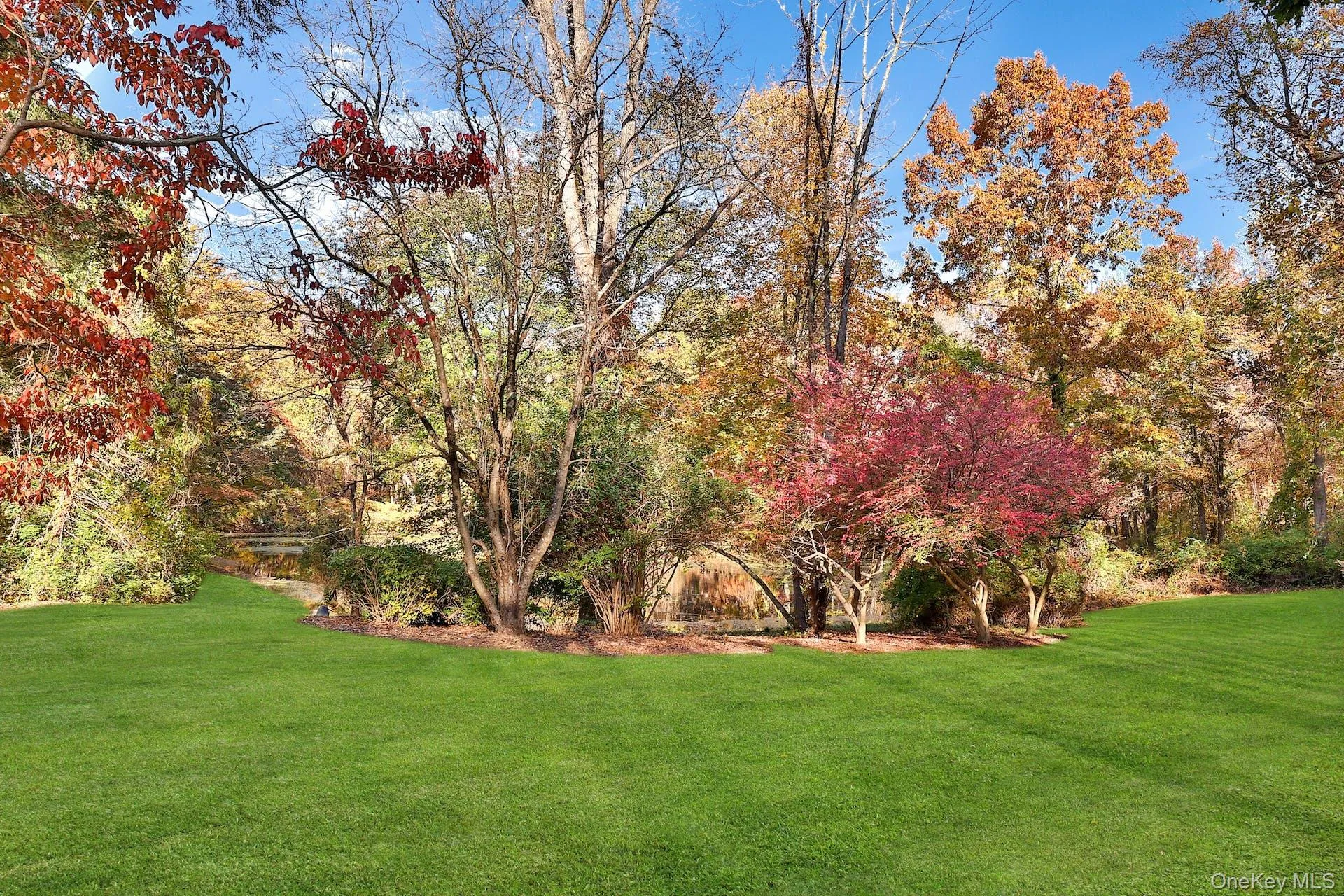 View of green lawn View of green lawn