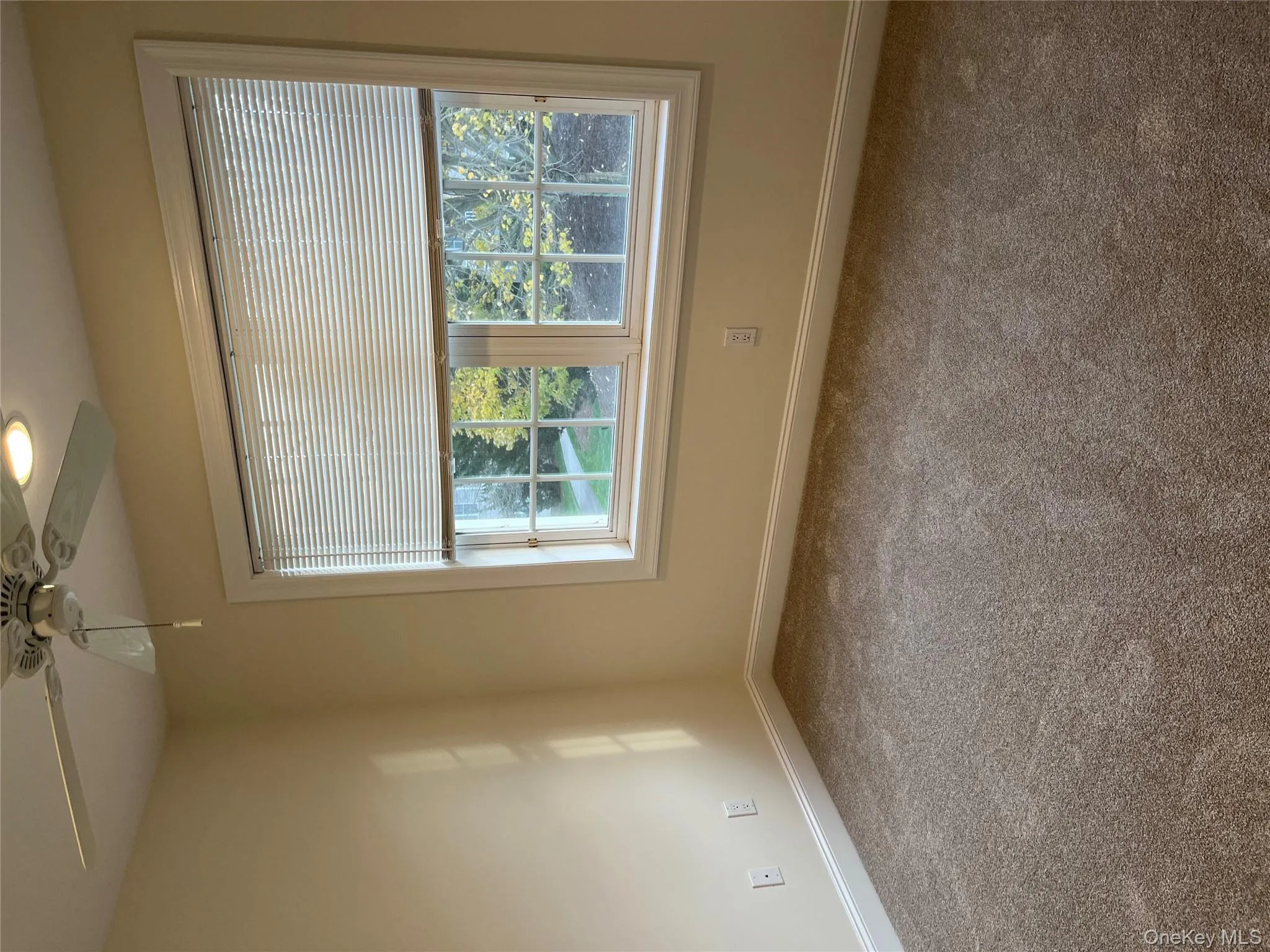 Unfurnished room featuring carpet flooring, ceiling fan, and recessed lighting Unfurnished room featuring carpet flooring, ceiling fan, and recessed lighting