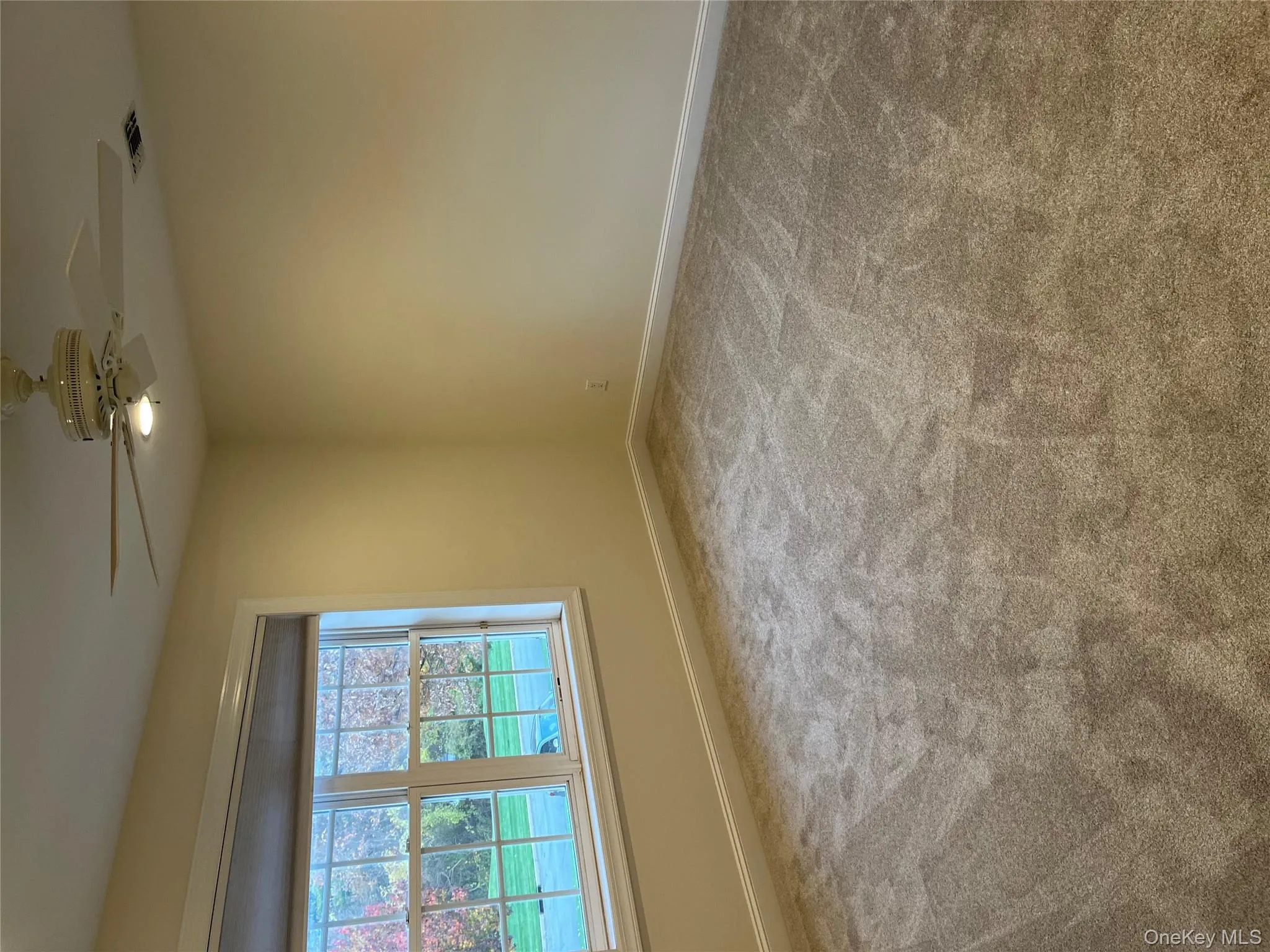 Unfurnished room with light colored carpet and ceiling fan Unfurnished room with light colored carpet and ceiling fan