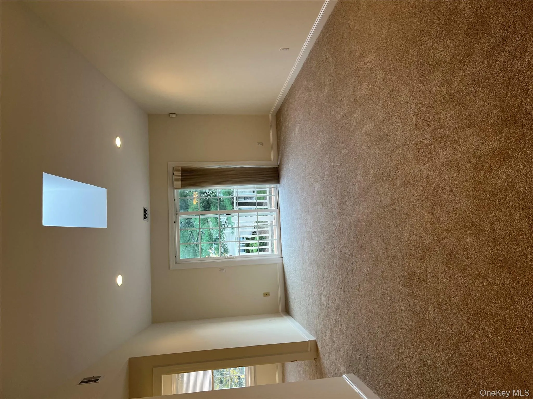 Unfurnished room with a skylight, recessed lighting, plenty of natural light, and light colored carpet Unfurnished room with a skylight, recessed lighting, plenty of natural light, and light colored carpet