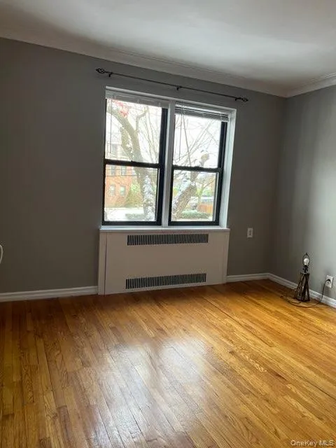 Unfurnished room featuring ornamental molding, light wood-style floors, and radiator heating unit Unfurnished room featuring ornamental molding, light wood-style floors, and radiator heating unit
