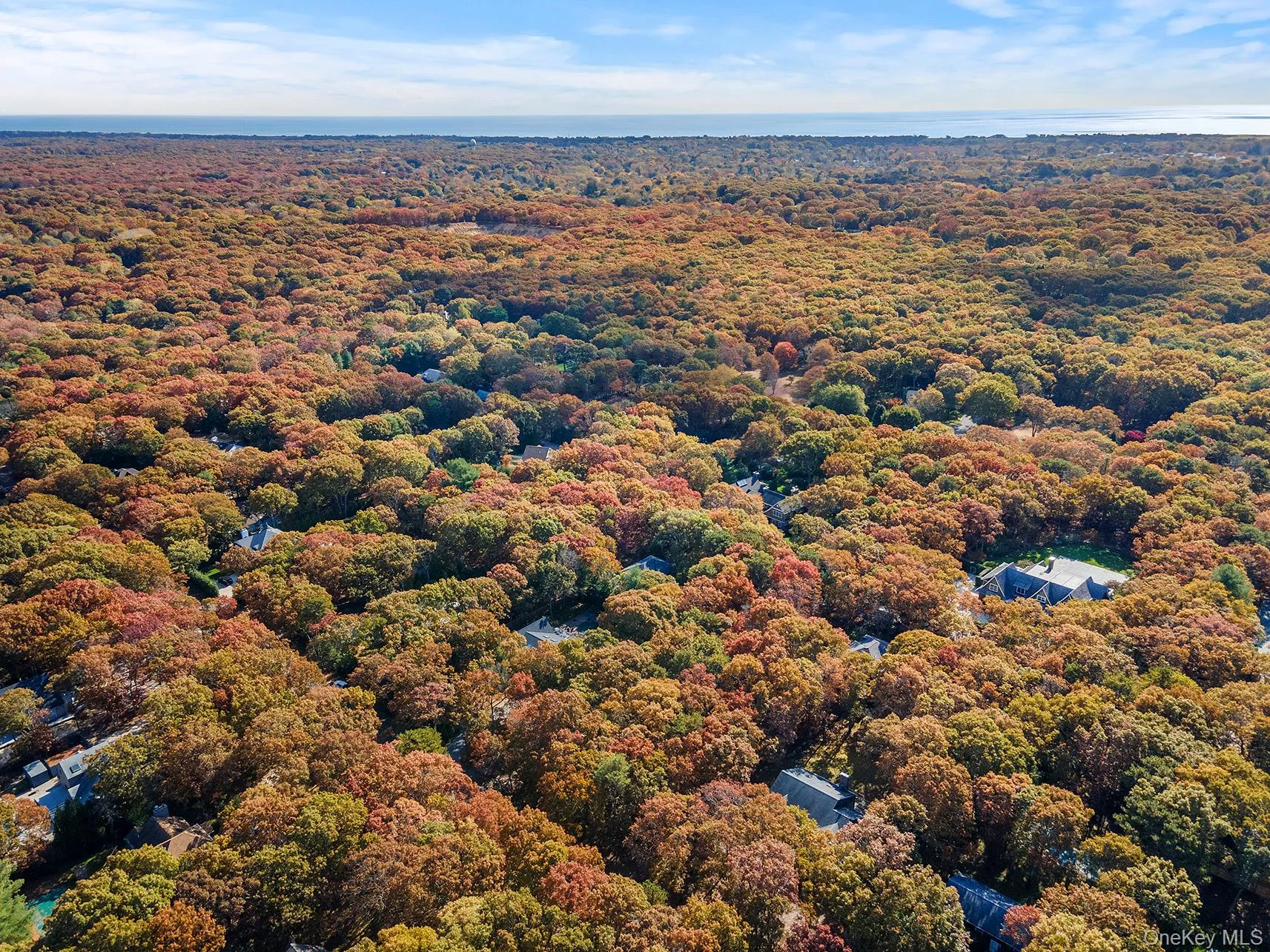 Drone / aerial view