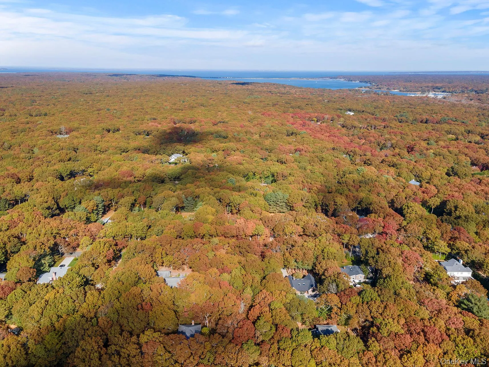 Aerial overview of property's location with a large body of water and a heavily wooded area