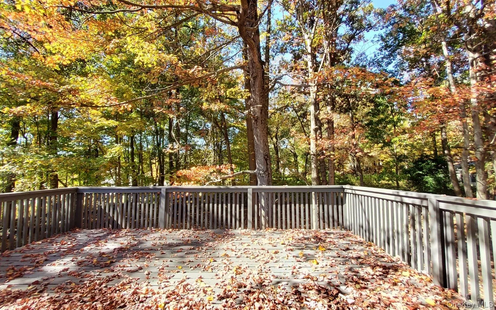 View of deck View of deck