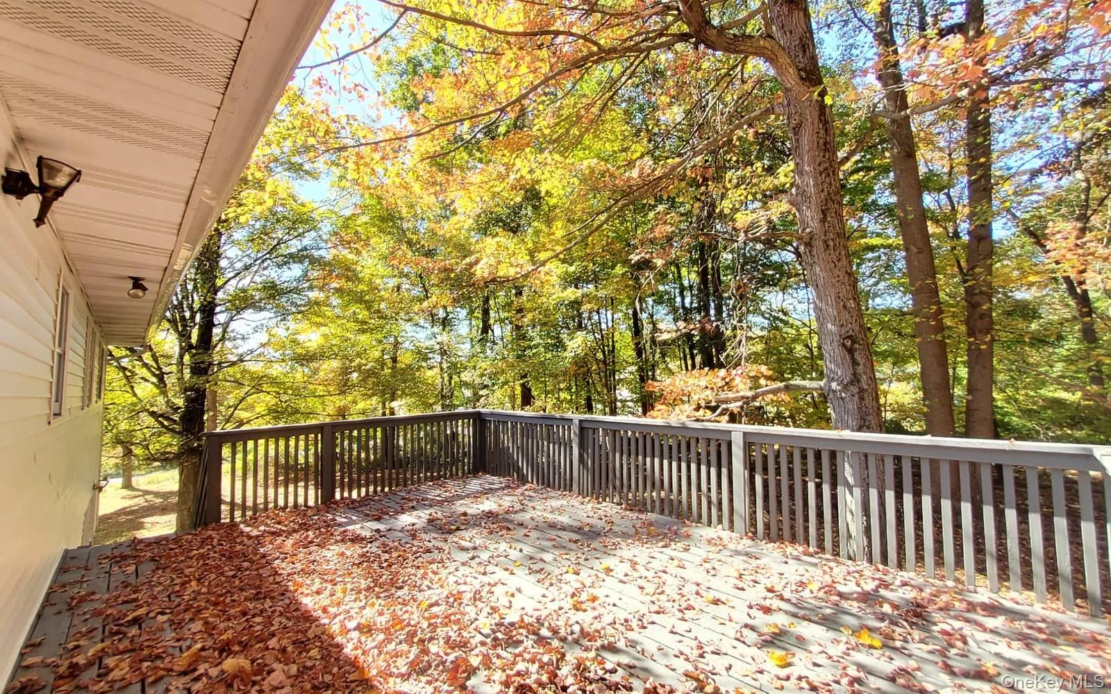 View of wooden deck View of wooden deck