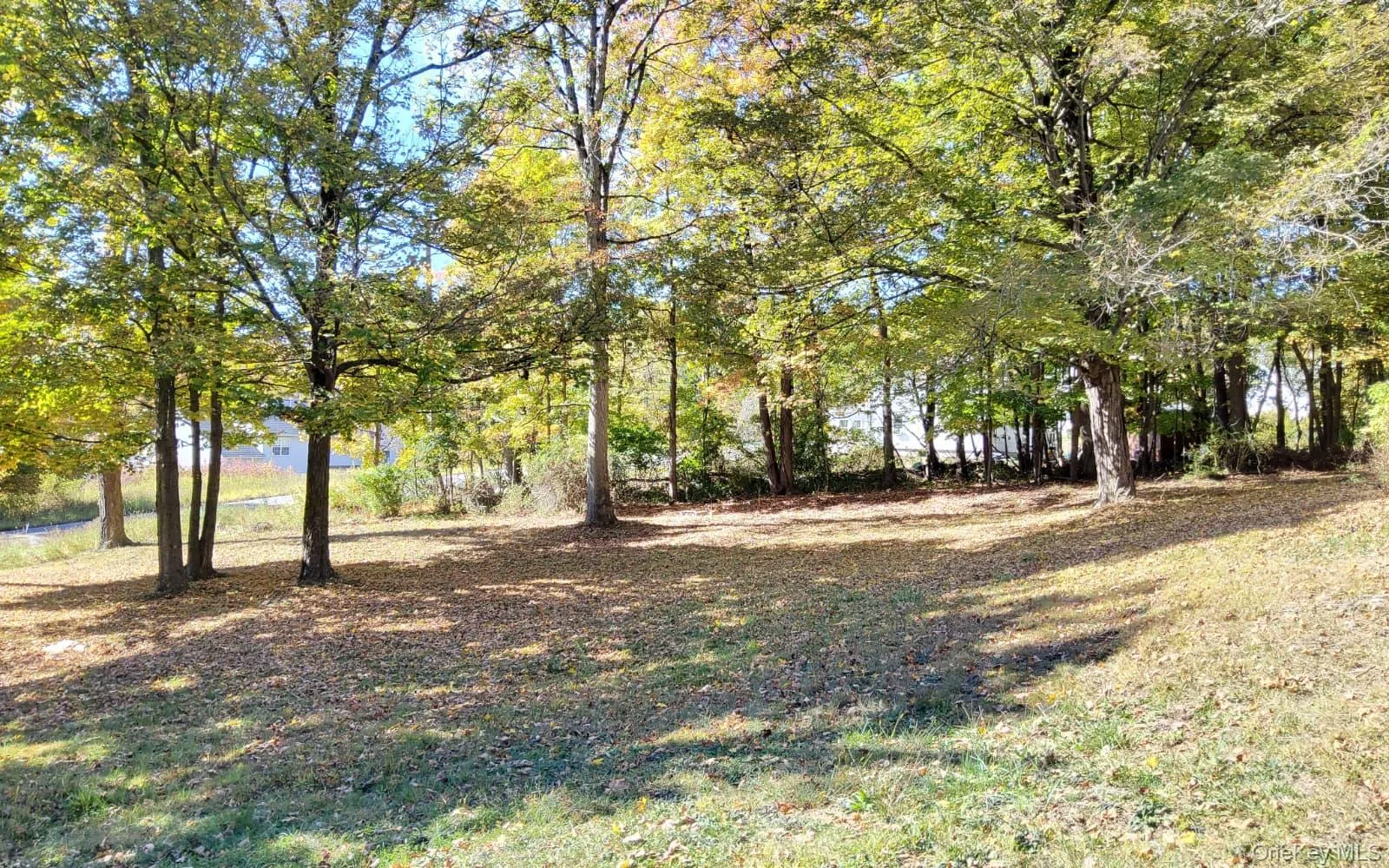 View of grassy yard with view of wooded area View of grassy yard with view of wooded area