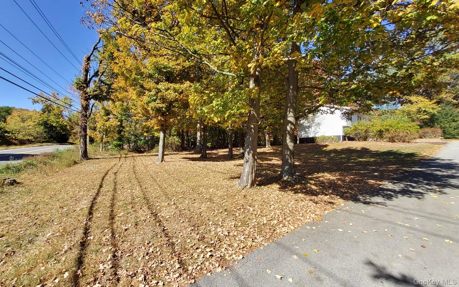 View of yard View of yard