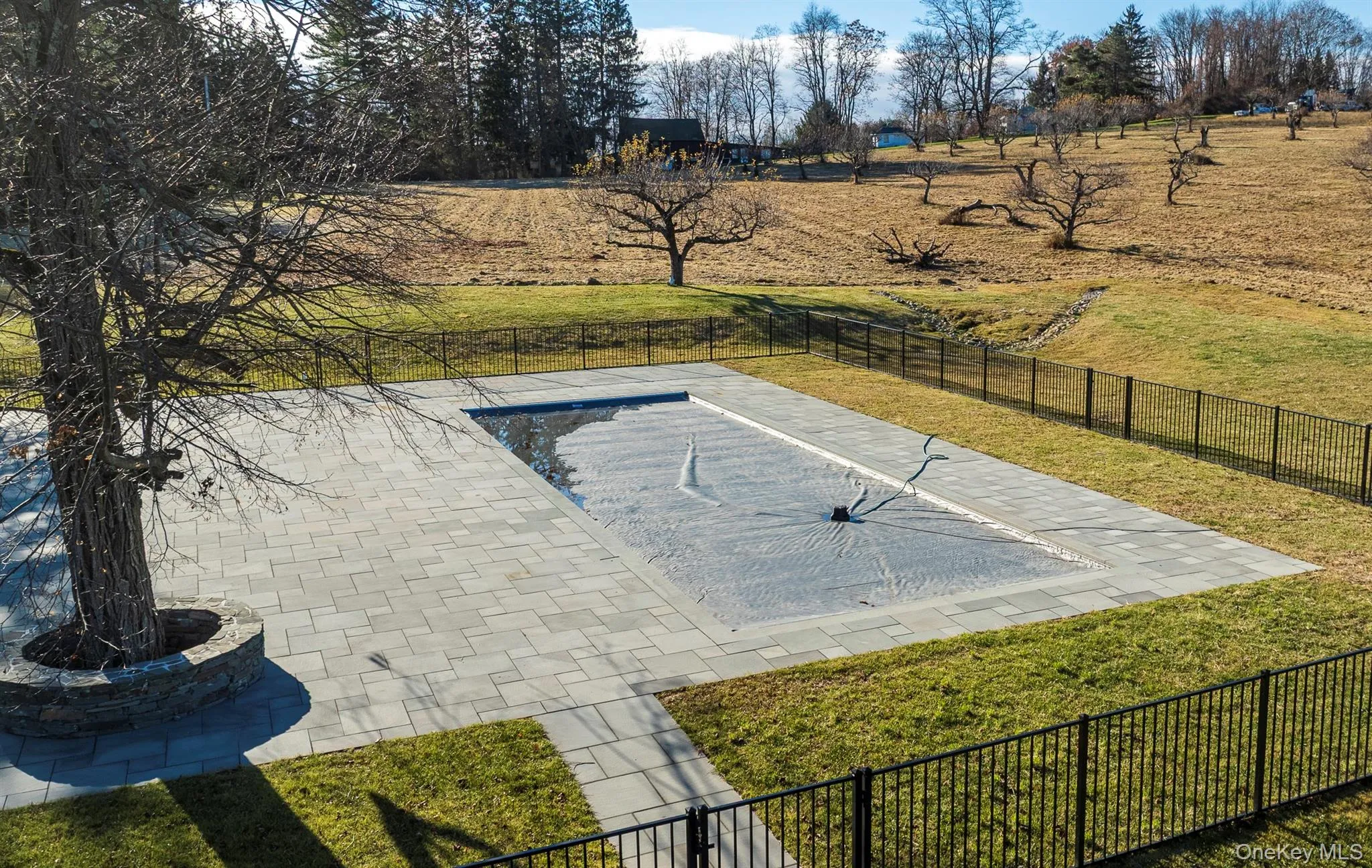 Pool with large patio area Pool with large patio area