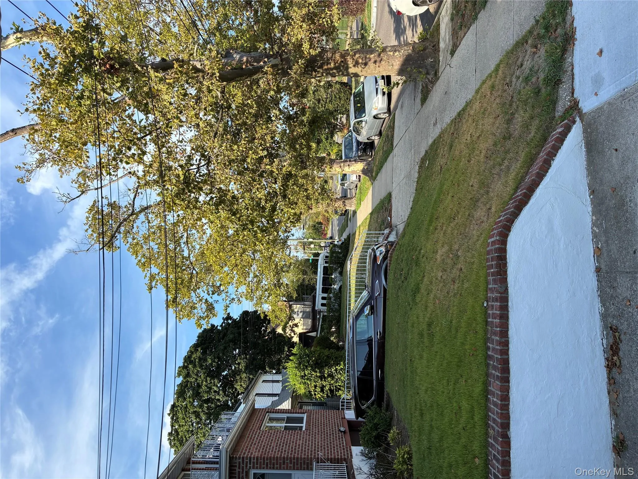 View of green lawn View of green lawn