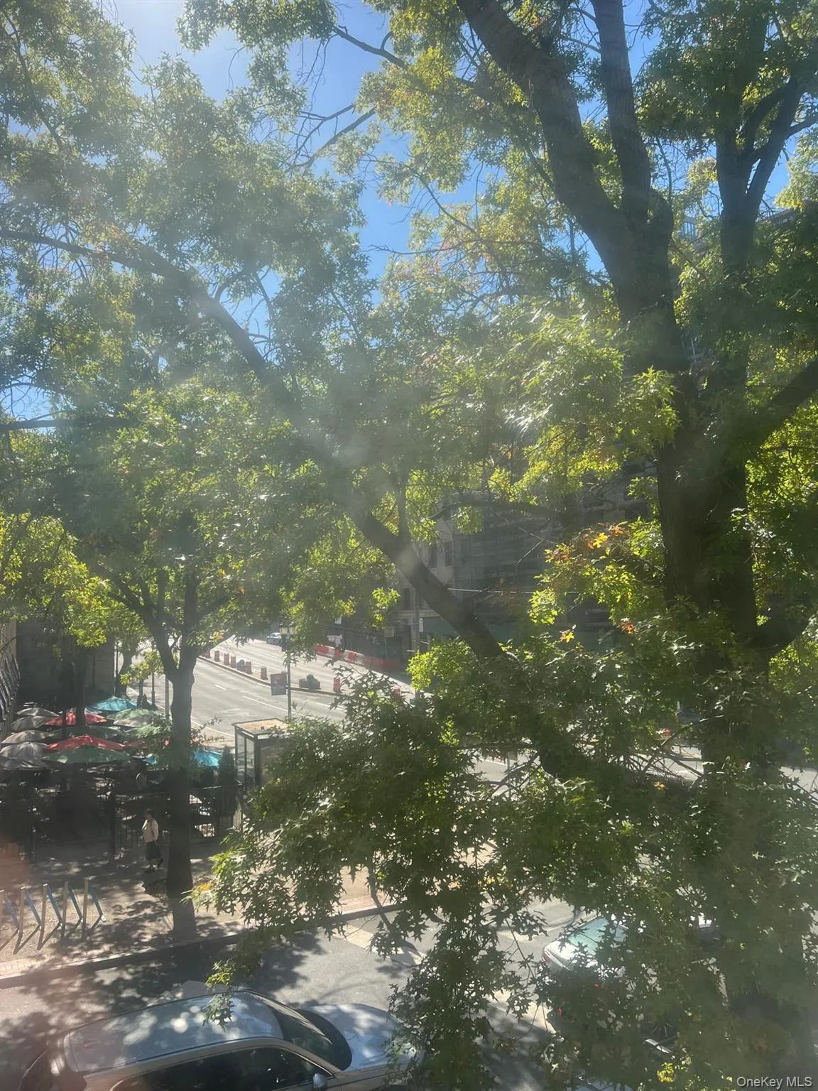 View of local wilderness View of local wilderness