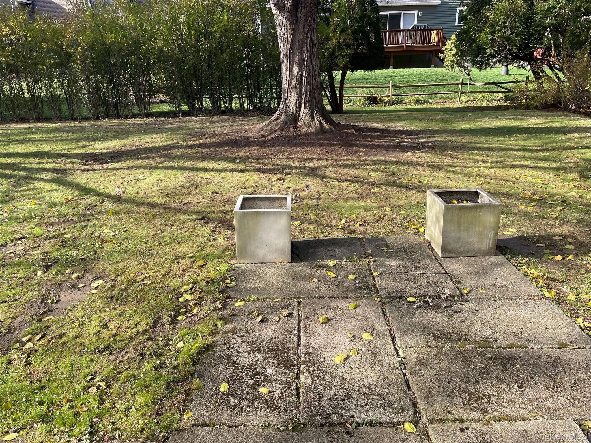 View of yard View of yard