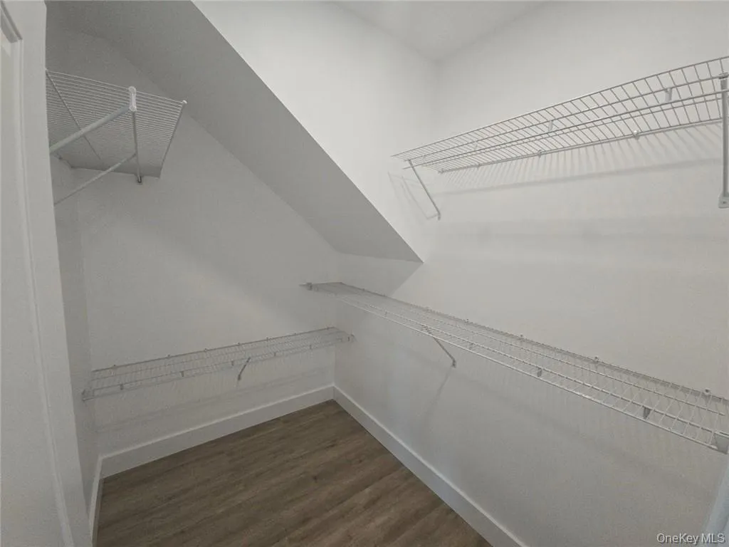 Spacious closet with dark wood-type flooring Spacious closet with dark wood-type flooring