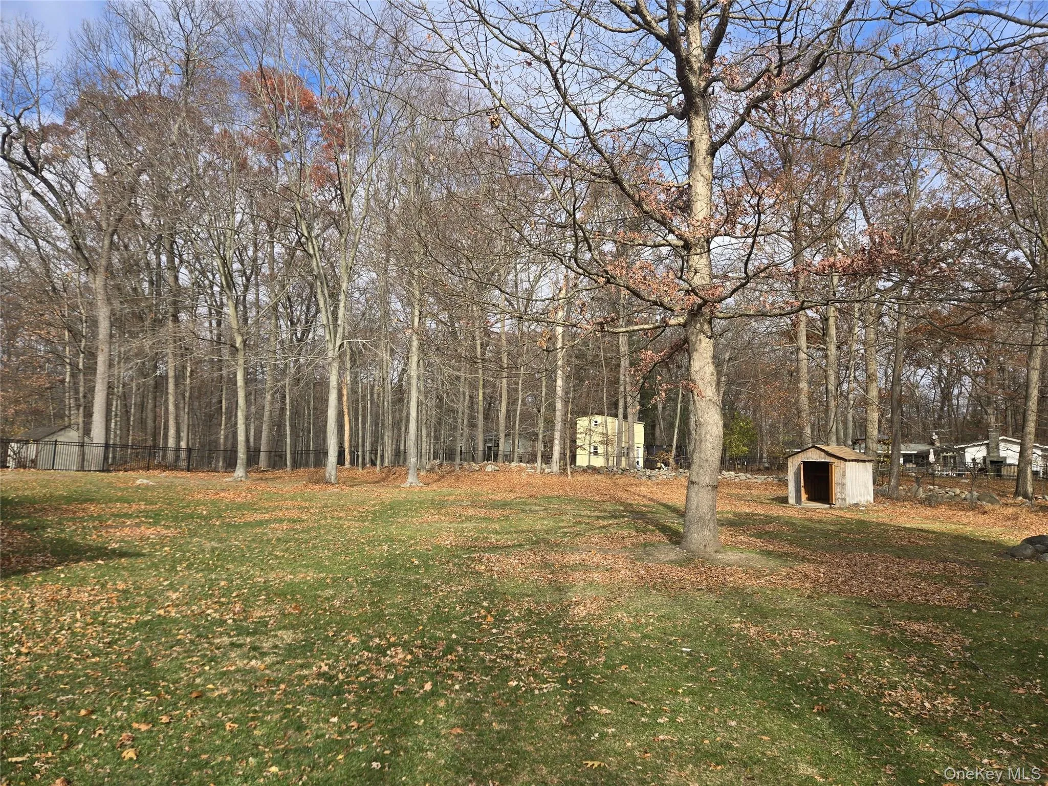 View of yard featuring an outdoor structure View of yard featuring an outdoor structure