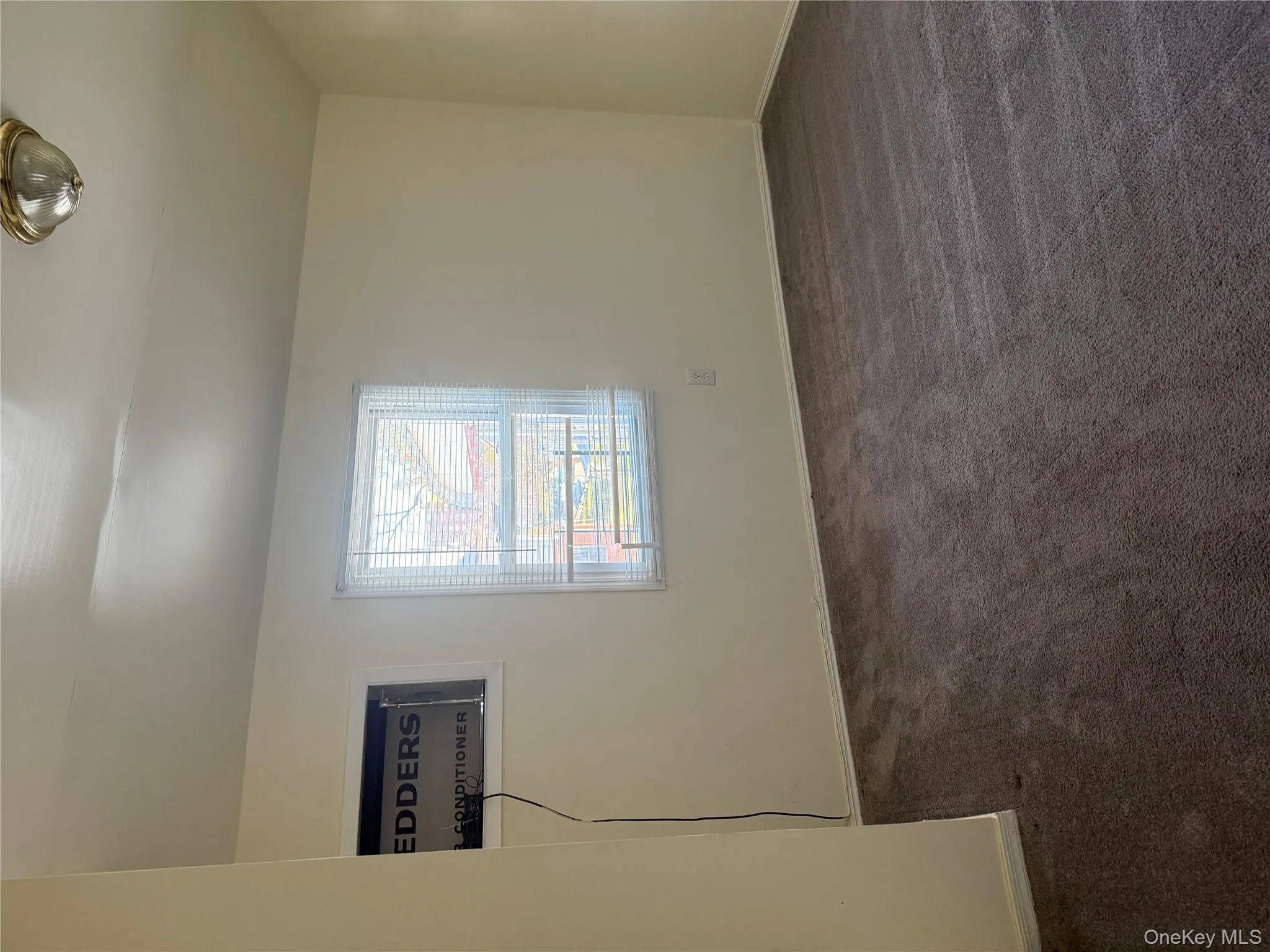 Spare room featuring dark colored carpet and baseboards Spare room featuring dark colored carpet and baseboards
