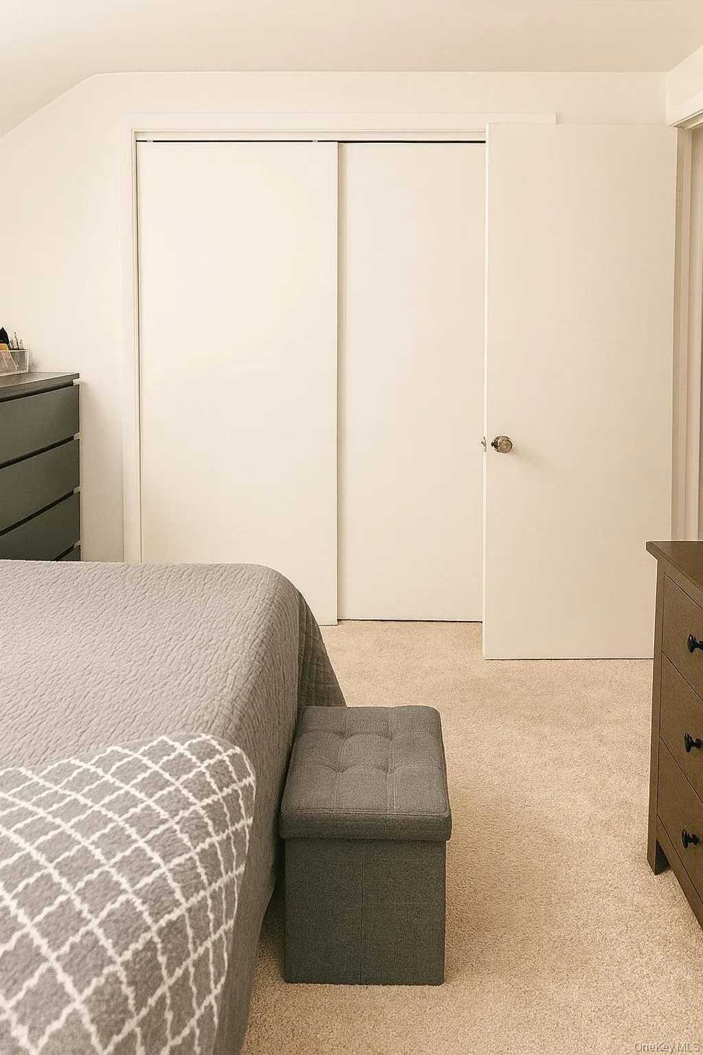 Bedroom featuring a closet and light colored carpet Bedroom featuring a closet and light colored carpet