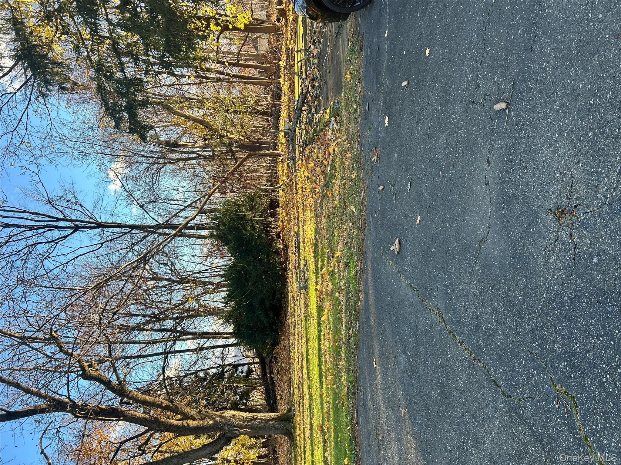 View of road with view of wooded area View of road with view of wooded area
