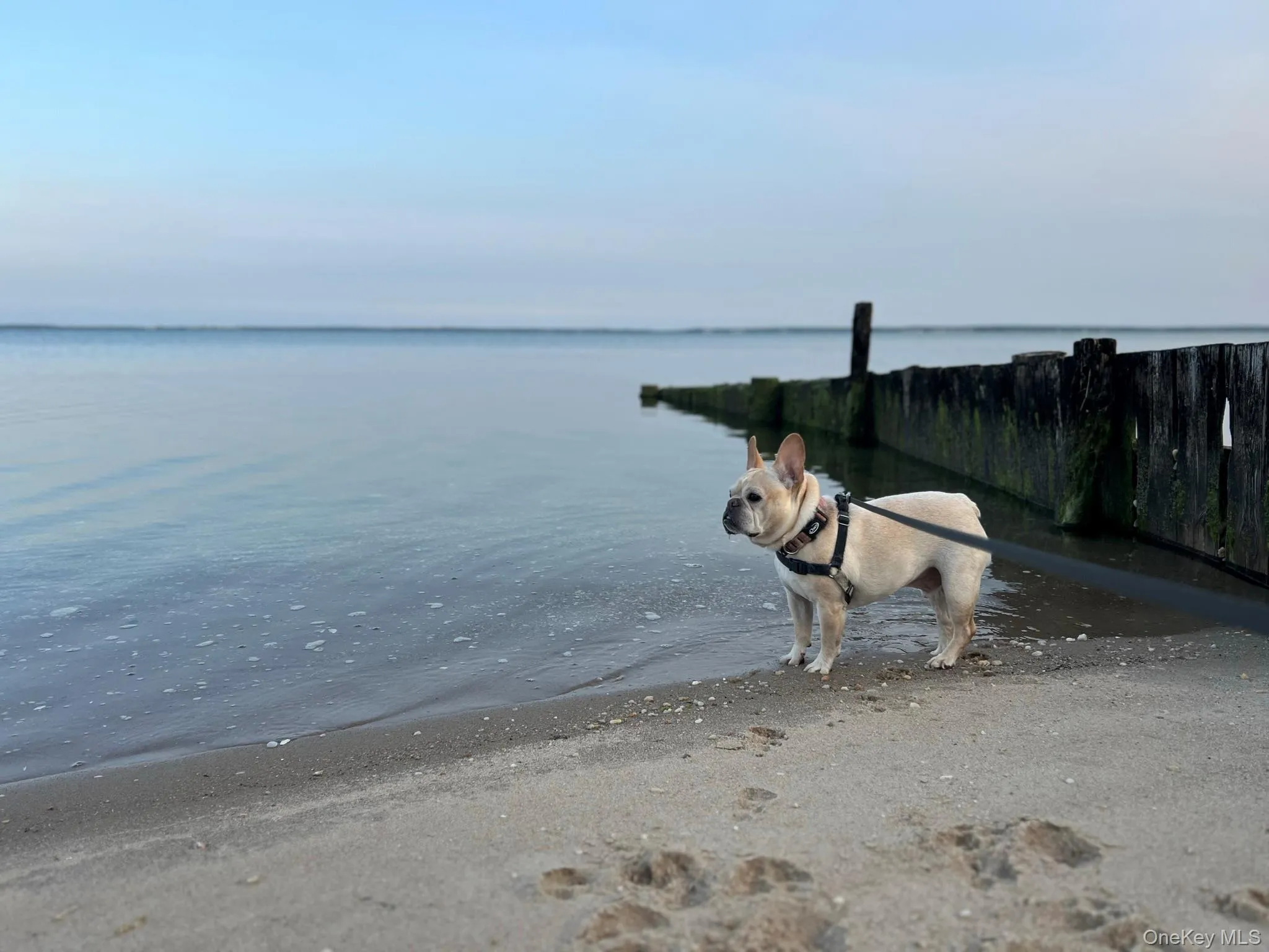 Neighborhood Beach Neighborhood Beach