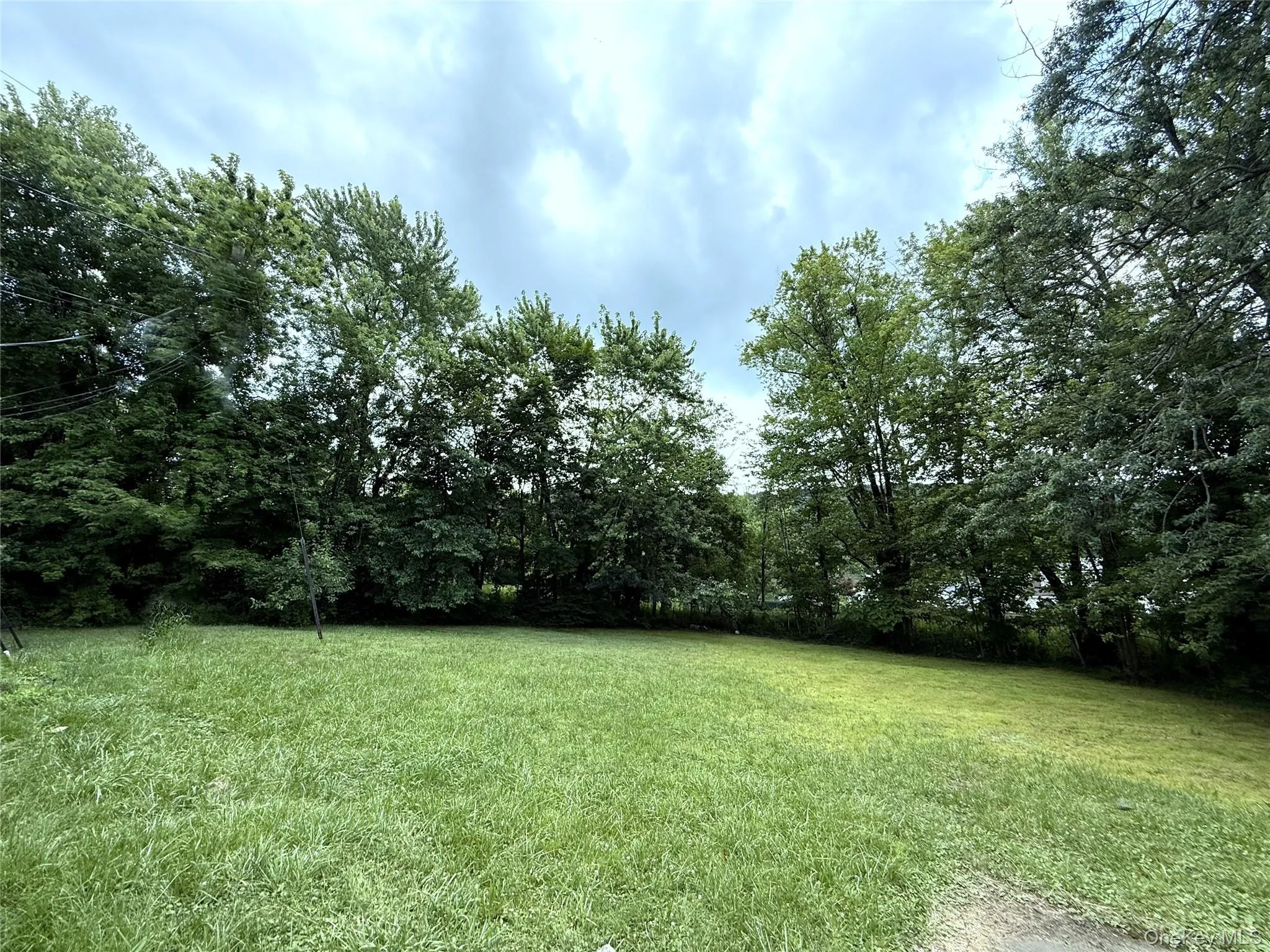 View of grassy yard View of grassy yard