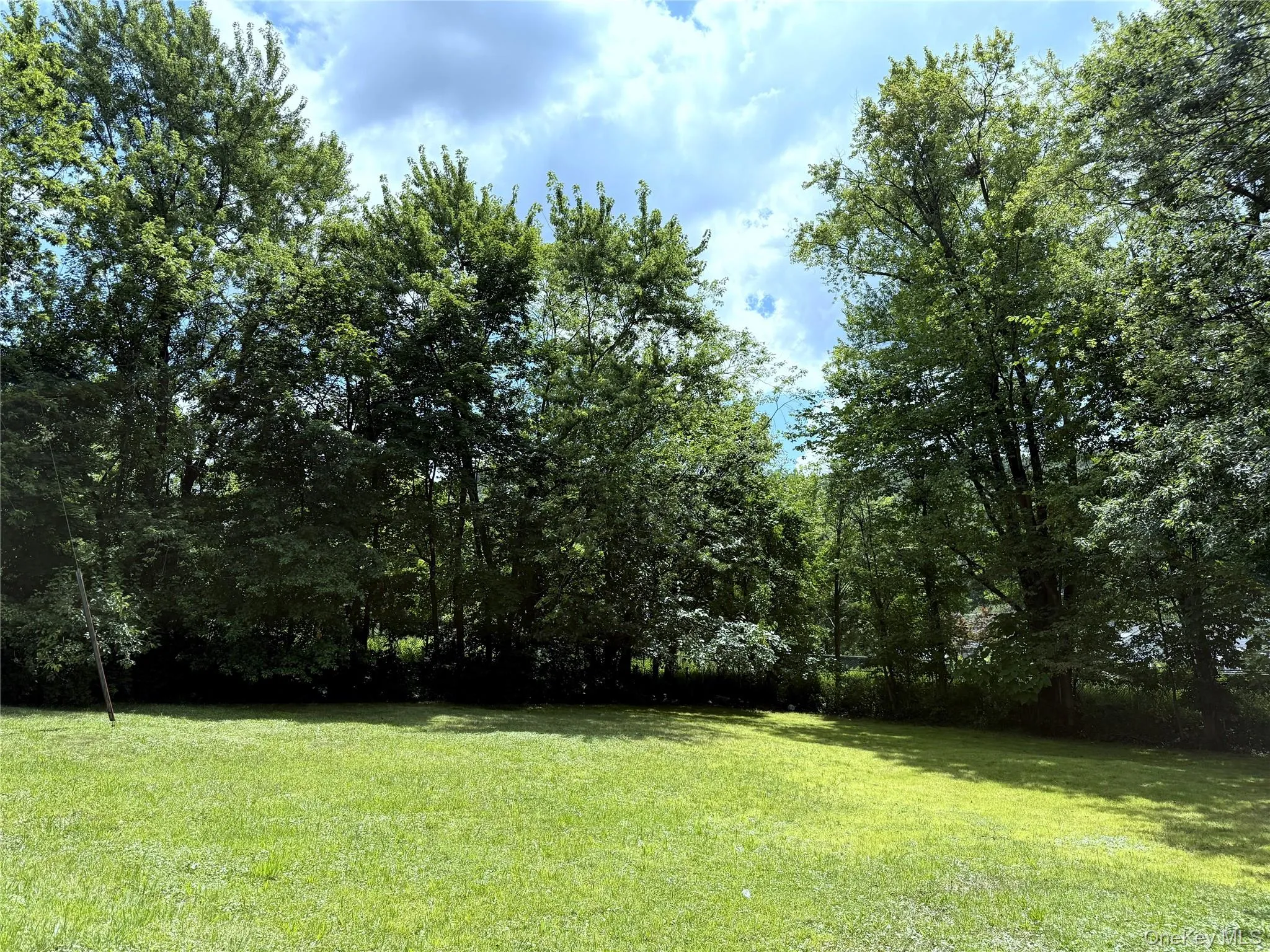 View of green lawn View of green lawn