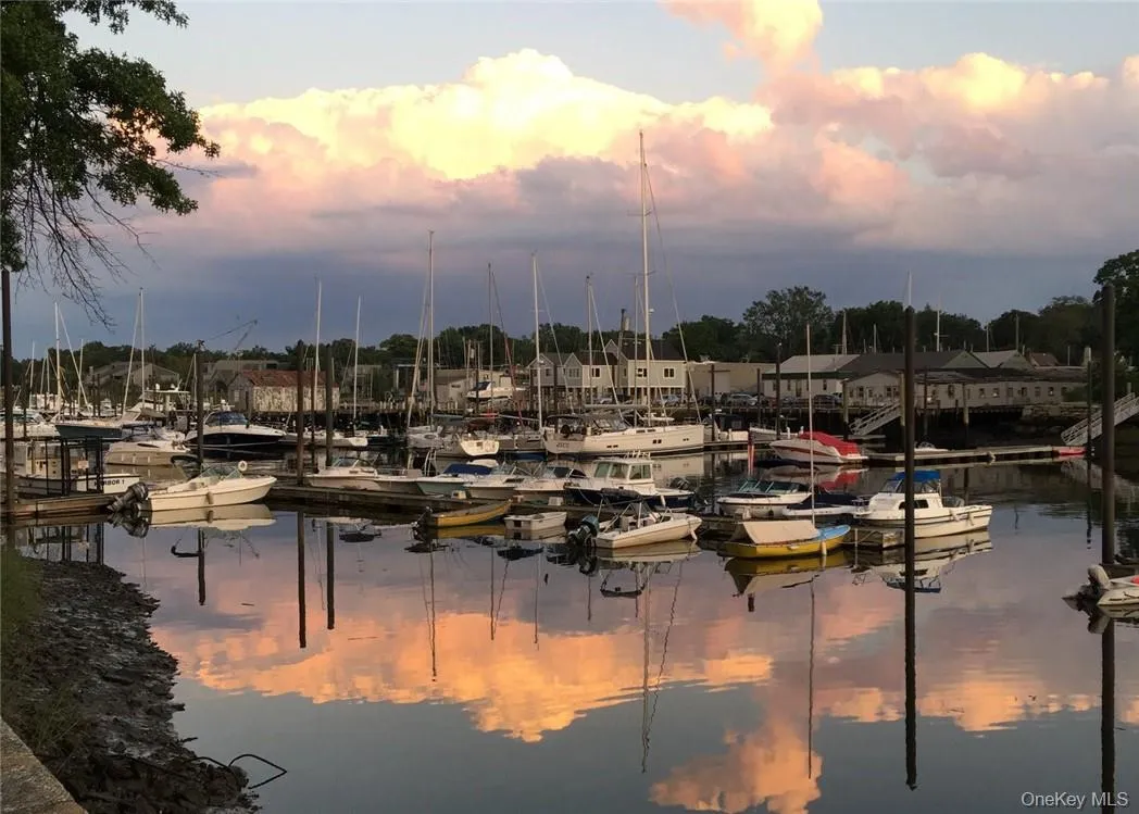 Courtesy of Barrie Proctor Courtesy of Barrie Proctor