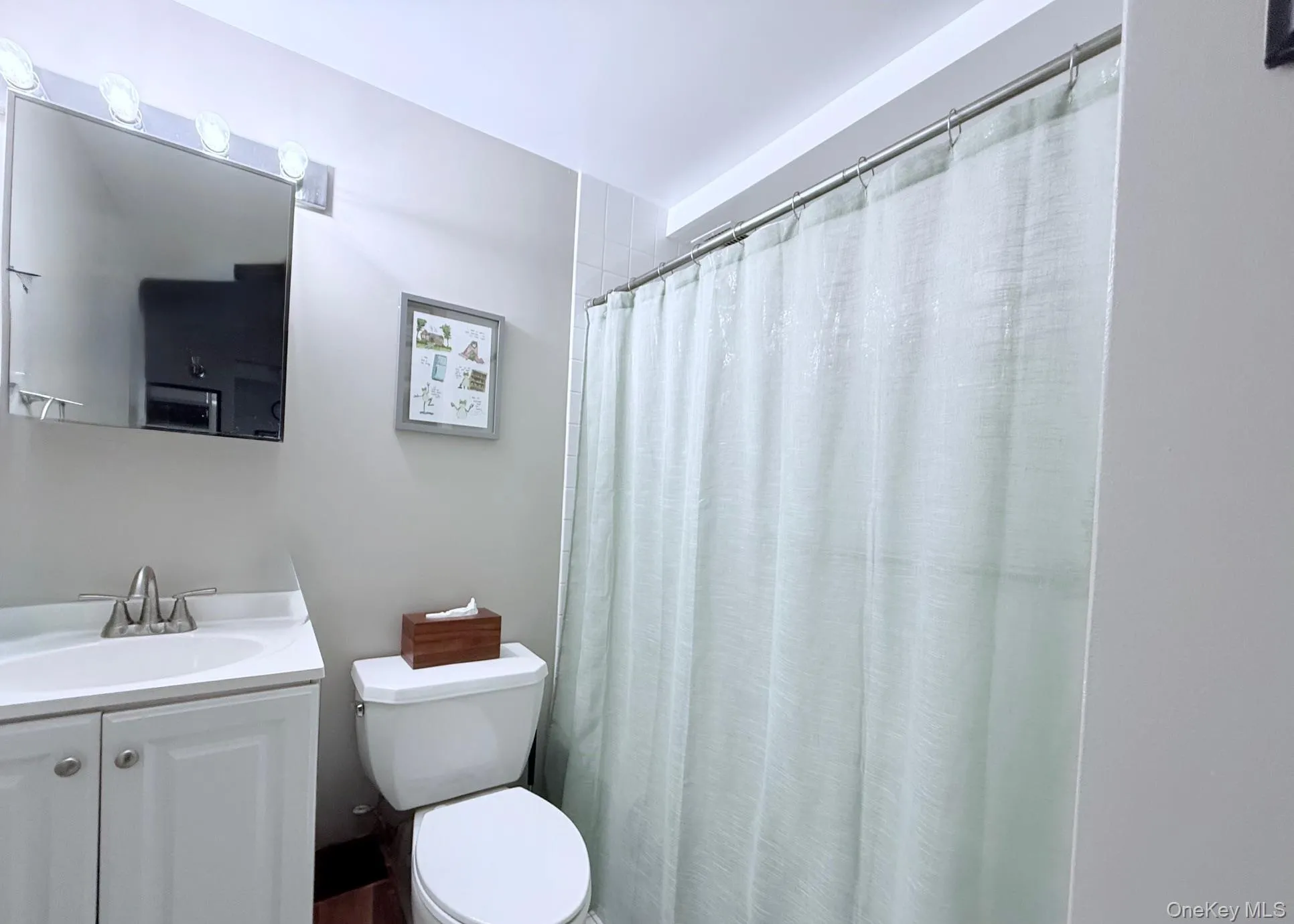Full bathroom featuring a shower with curtain and vanity Full bathroom featuring a shower with curtain and vanity