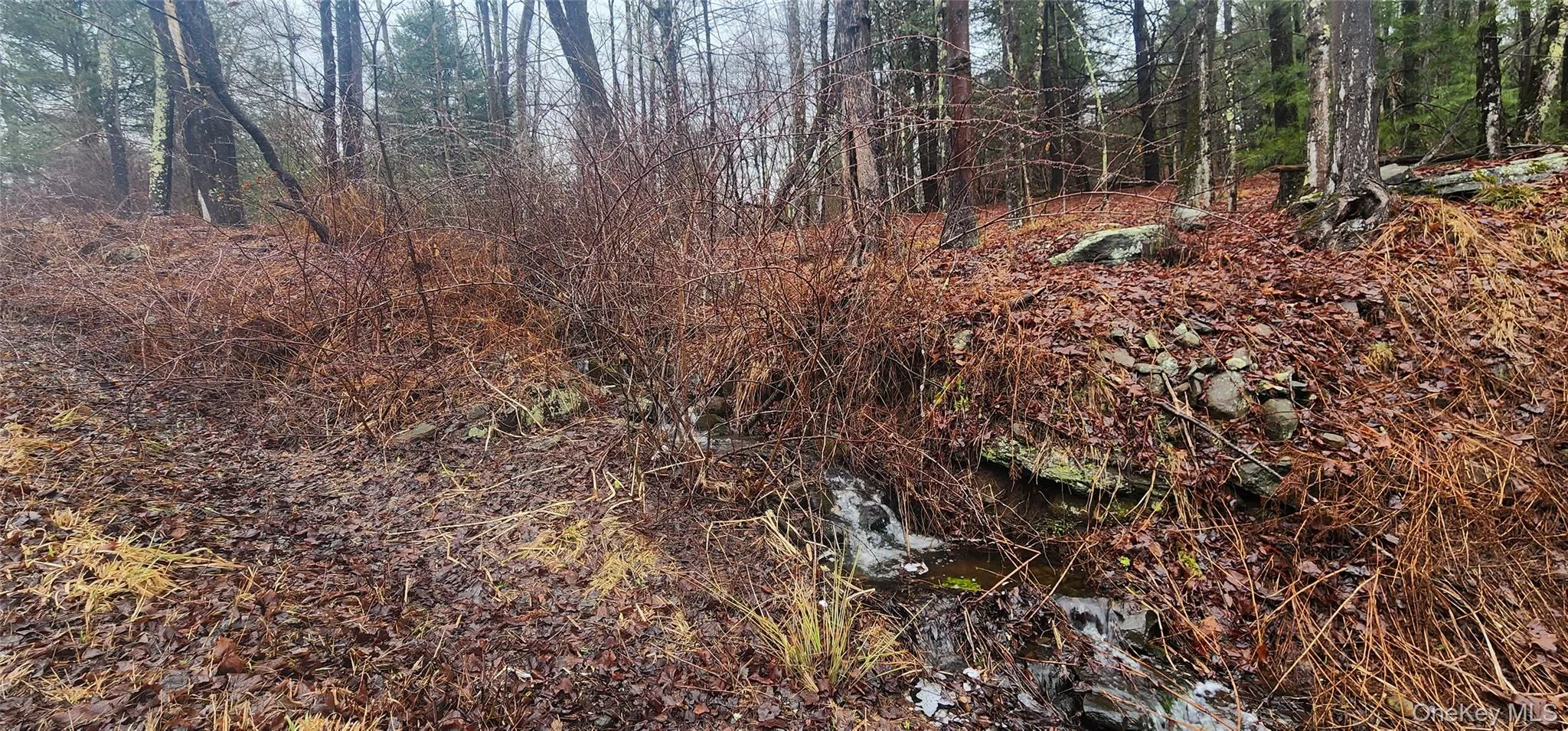 Thompson Road, Thompson, NY, ,Land,For Rent,Thompson,0,937350 Thompson Road, Thompson, NY, ,Land,For Rent,Thompson,0,937350