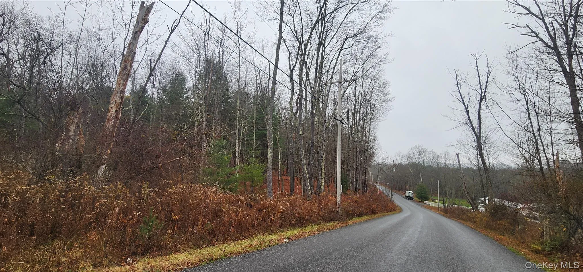View of asphalt road featuring a forest view View of asphalt road featuring a forest view