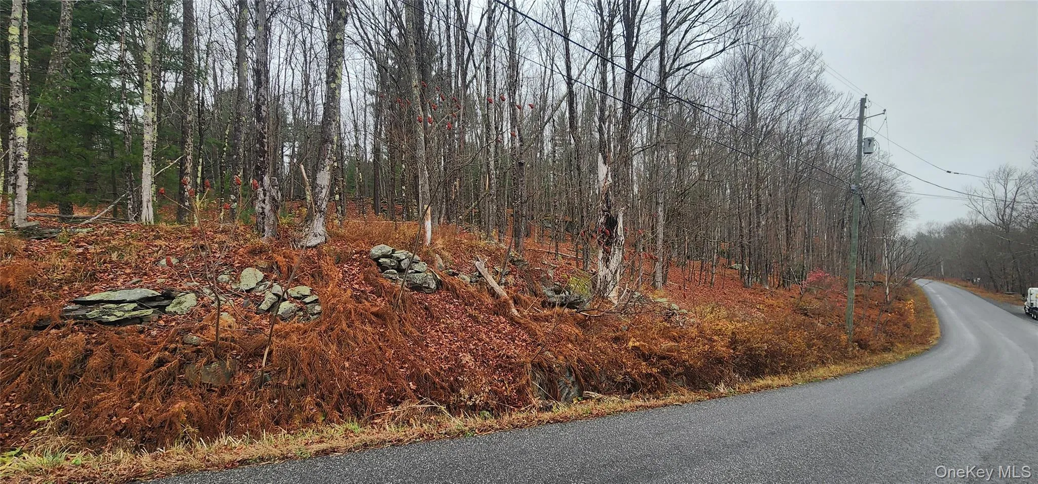 View of asphalt road featuring a view of trees View of asphalt road featuring a view of trees