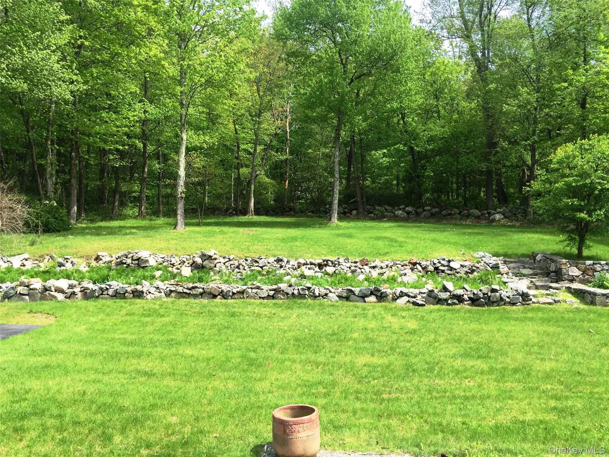 View of green lawn View of green lawn