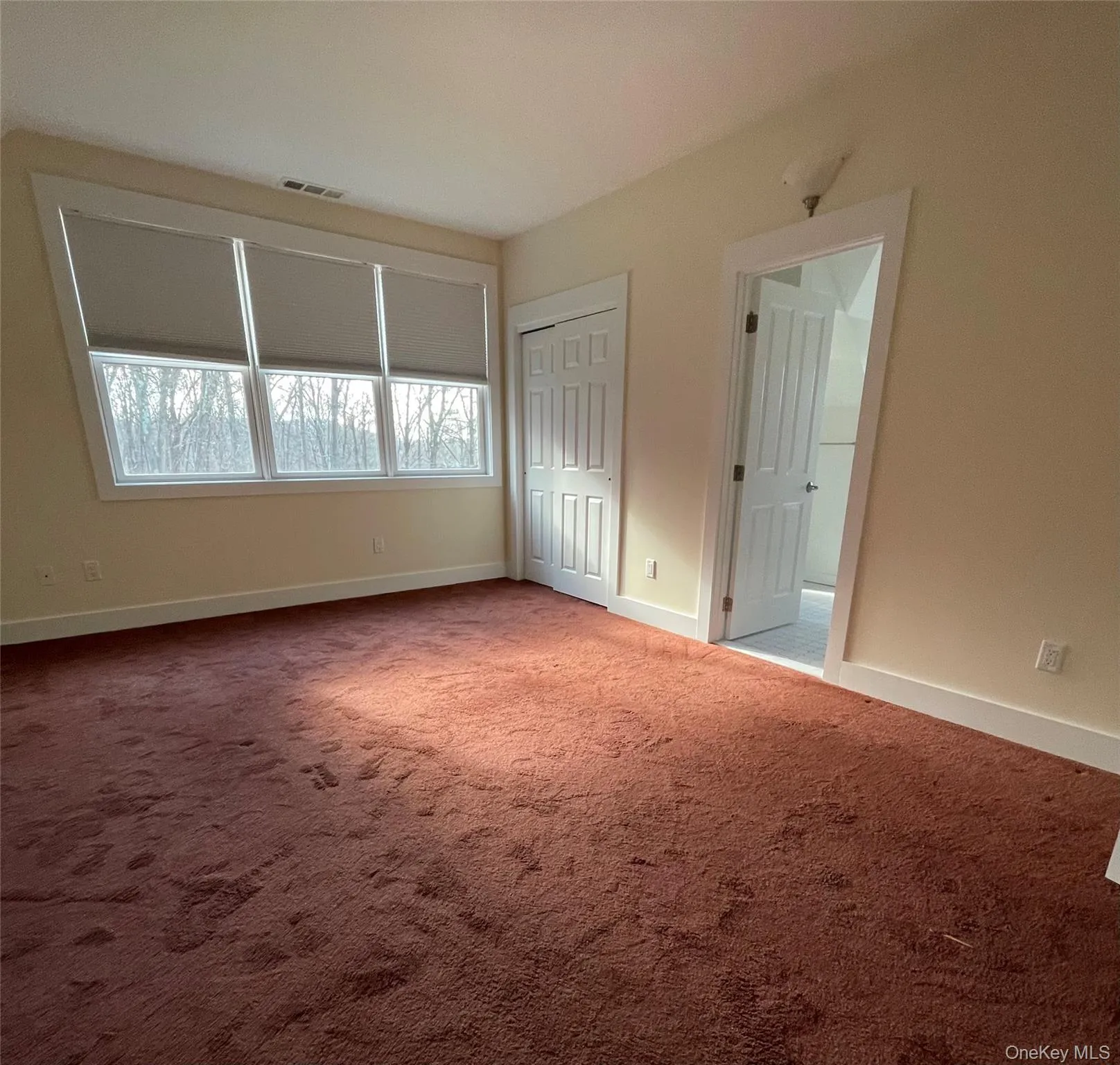 Master bedroom with carpet flooring and closets Master bedroom with carpet flooring and closets