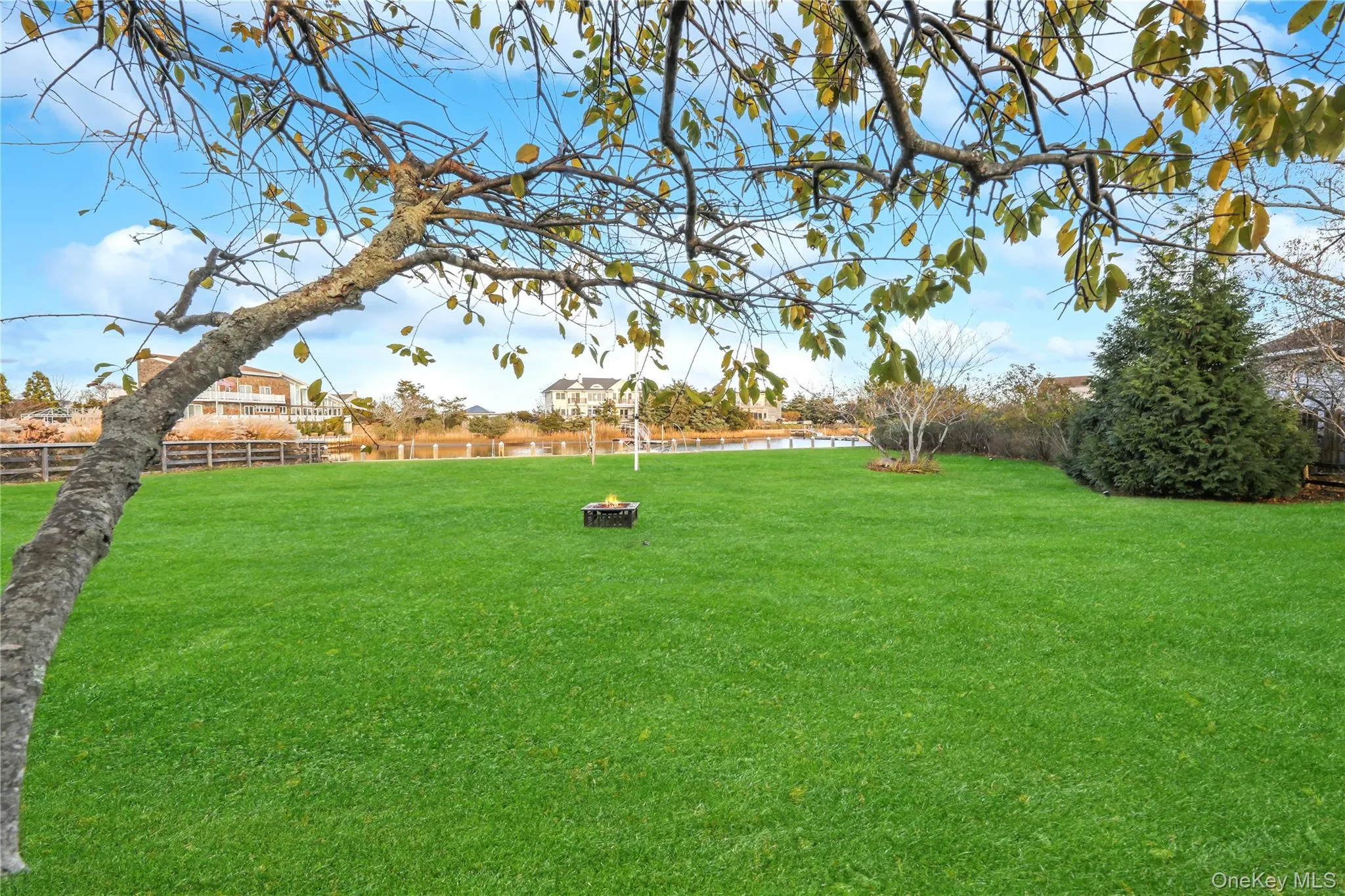 Large Backyard Large Backyard