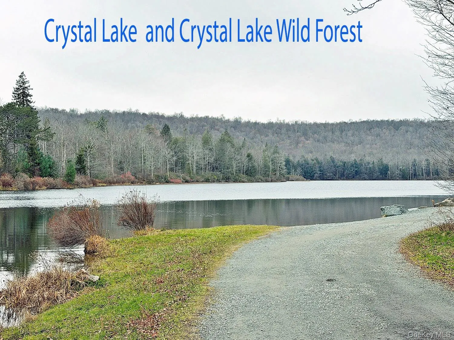 Water view of Crystal Lake with a forest - State Land Water view of Crystal Lake with a forest - State Land