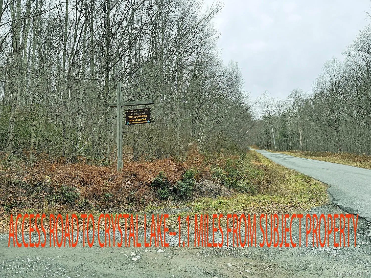 Access road to Crystal Lake Wild Forest State Land Access road to Crystal Lake Wild Forest State Land