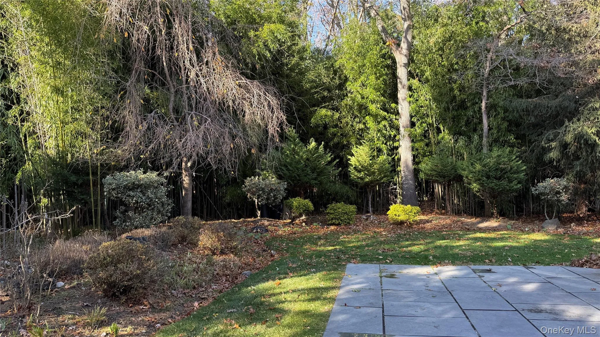 View of Yard w/ Patio Area View of Yard w/ Patio Area