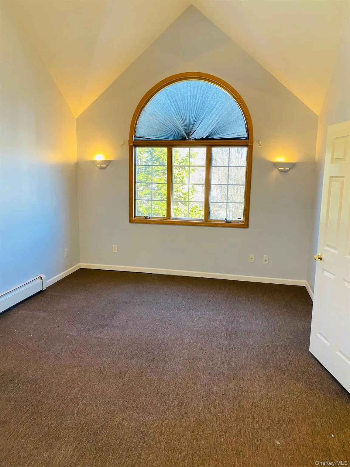 Spare room featuring dark carpet, baseboard heating, and lofted ceiling Spare room featuring dark carpet, baseboard heating, and lofted ceiling