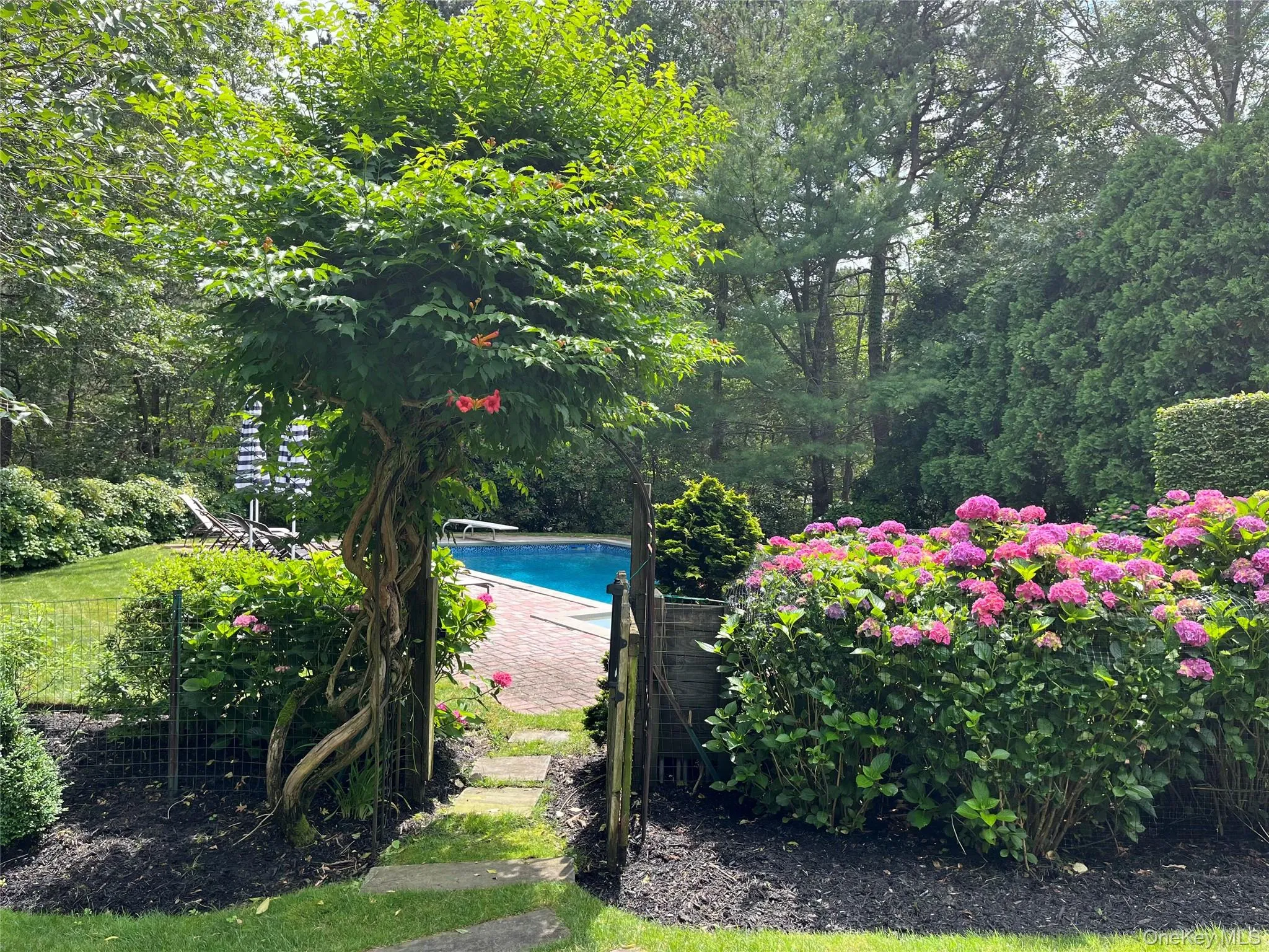 Outdoor pool featuring a diving board Outdoor pool featuring a diving board