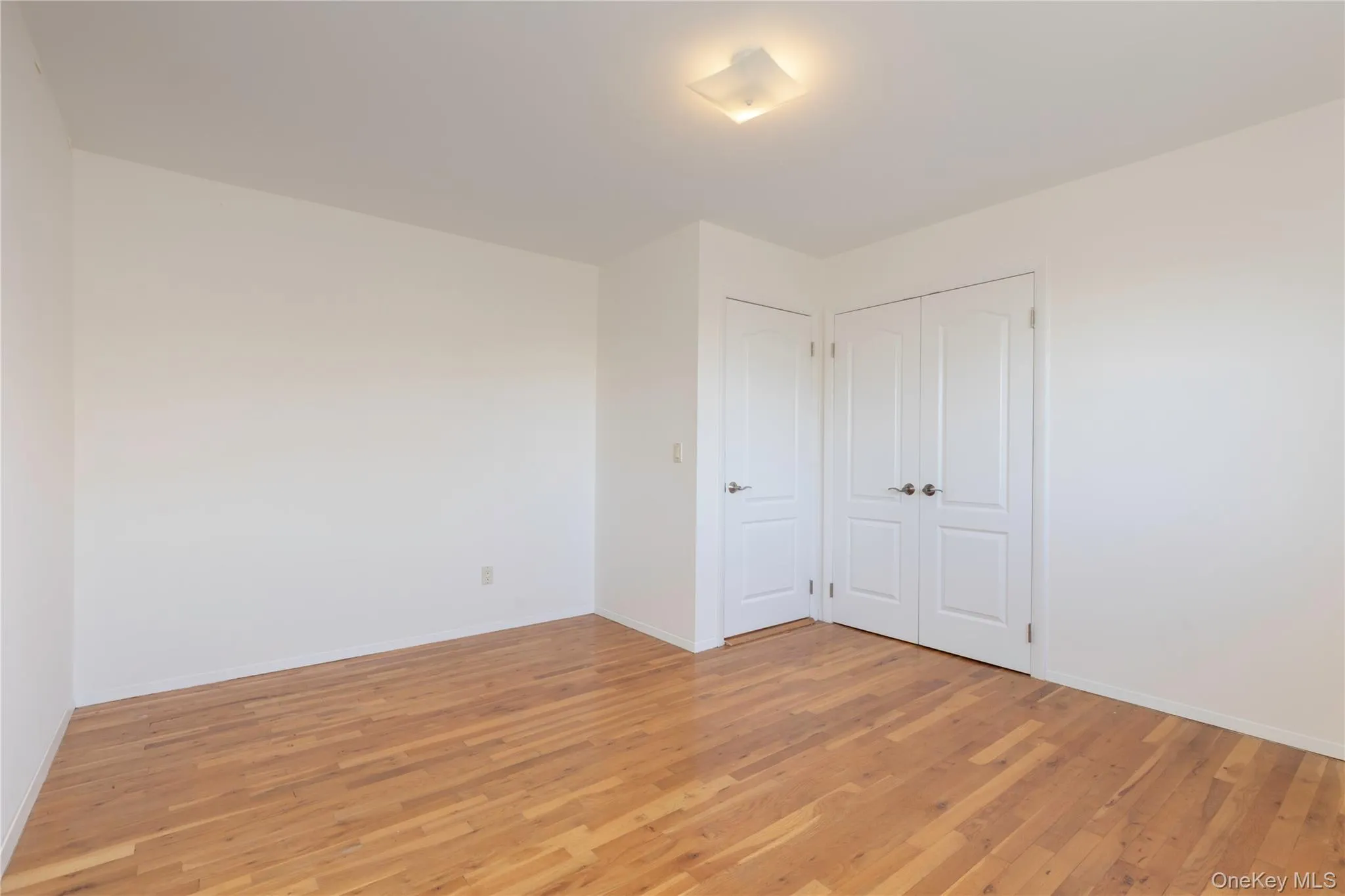 Primary bedroom featuring light wood-style flooring and a closet Primary bedroom featuring light wood-style flooring and a closet