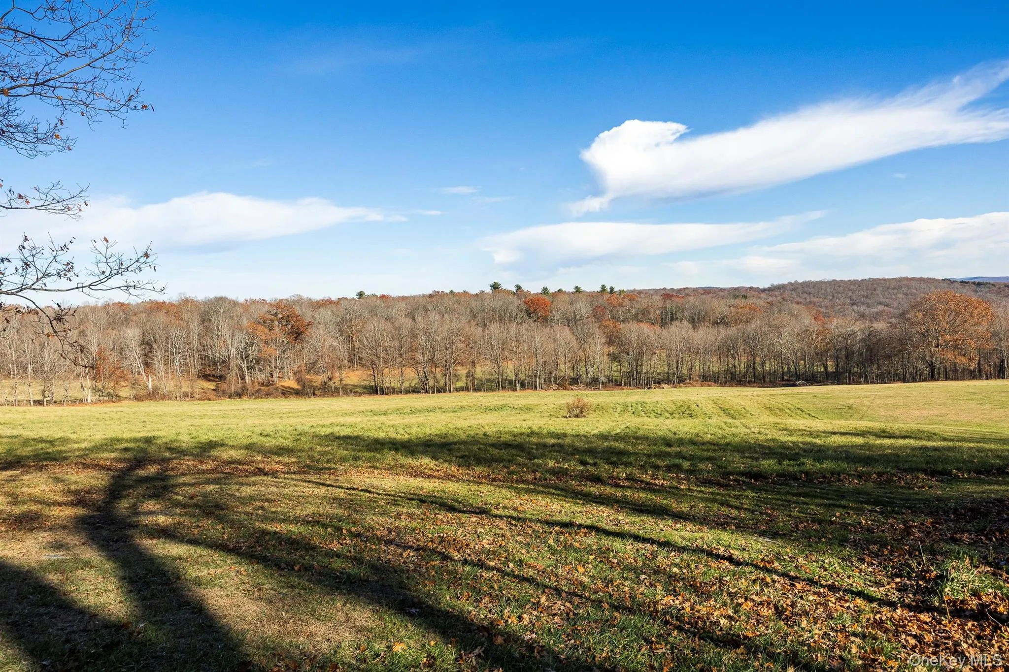 Pastoral space Pastoral space