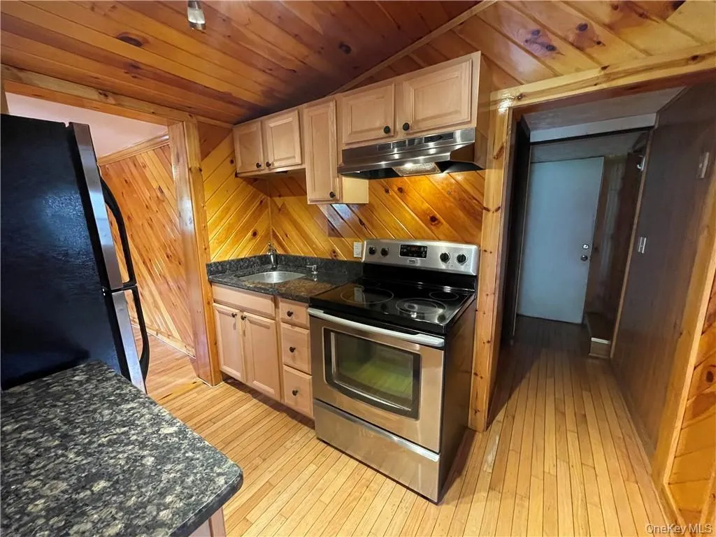 Kitchen featuring electric range, dark stone counters, wood ceiling, freestanding refrigerator, and wood walls Kitchen featuring electric range, dark stone counters, wood ceiling, freestanding refrigerator, and wood walls