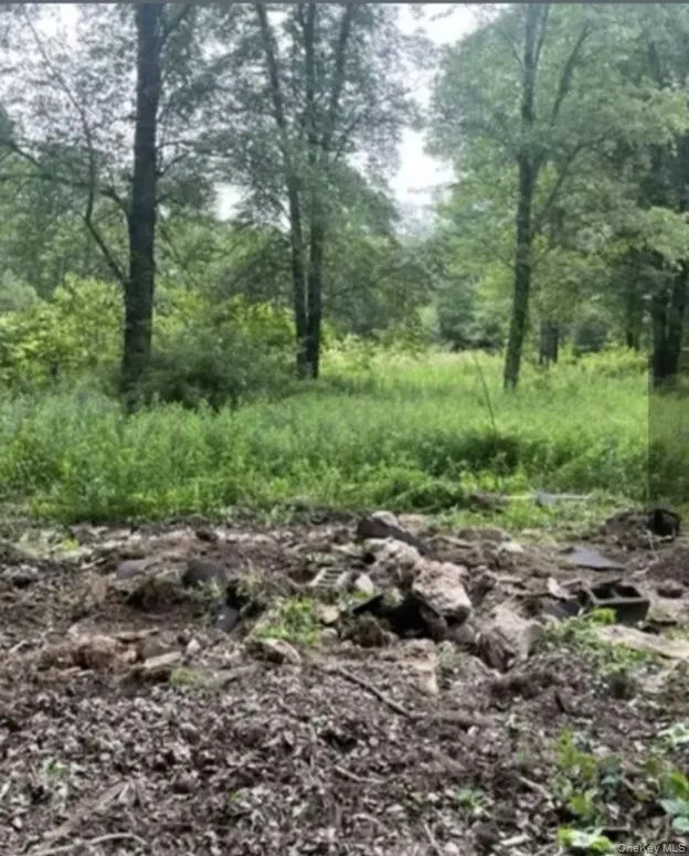 358/80 Ferguson Lane, Mamakating, NY, ,Land,For Rent,Ferguson,0,938034 358/80 Ferguson Lane, Mamakating, NY, ,Land,For Rent,Ferguson,0,938034
